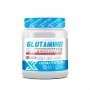 GLUTAMINA PROFESSIONAL 300 GR - HX NATURE